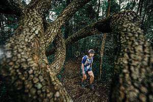 BIB: 
                            <button type="button" onclick="openModal(25393052)" class="btn btn-primary btn-sm float-right btn-popup" data-toggle="modal" data-target=".modal-high-quality">
                        <i class="fas fa-shopping-cart"></i> Add to Cart
                    </button>
                                            <button type="button" onclick="isThisMe(25393052, true)" class="btn btn-success btn-sm float-right btn-popup btn-isme hidden" data-toggle="tooltip" data-placement="bottom" title="นี่คือรูปของคุณใช่ไหม คลิกที่นี่เพื่อเอาเข้าอัลบั้ม">
                        <i class="fas fa-plus"></i> Add to album
                    </button>
                    <button type="button" onclick="isThisMe(25393052, false)" class="btn btn-warning btn-sm float-right btn-popup btn-isnotme hidden">
                        <i class="fas fa-ban"></i> Remove from album
                    </button>